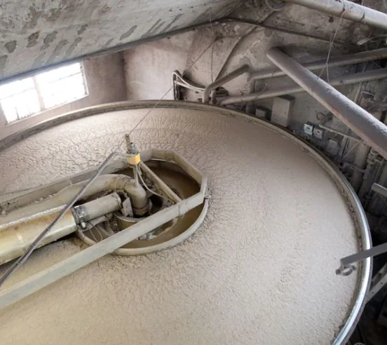 Pulp & Paper Pulp & Paper